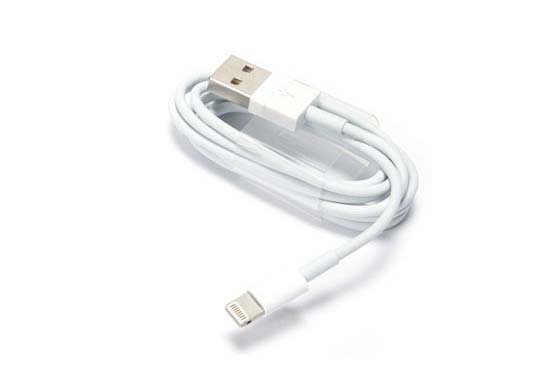 Apple Lightning to USB Cable