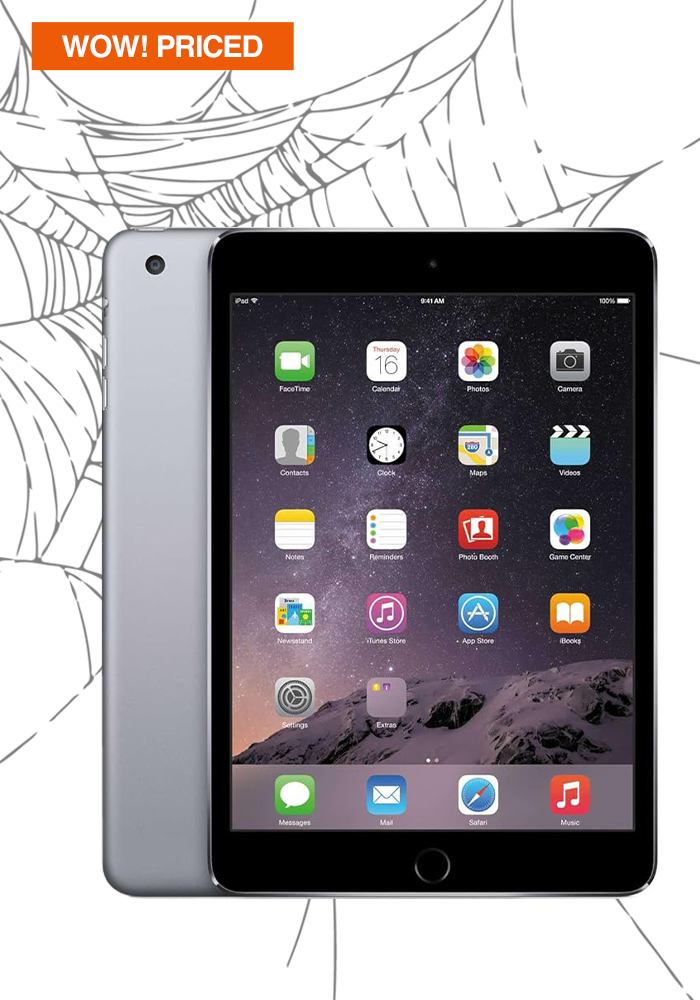 iPad