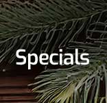 Specials and Deals