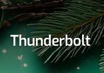 Thunderbolt