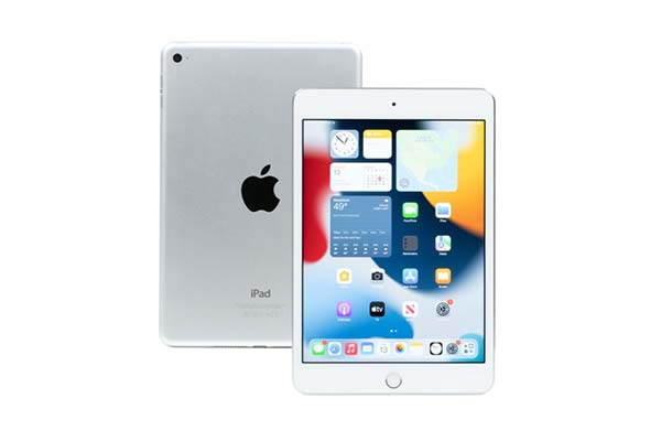 Silver Apple iPad mini